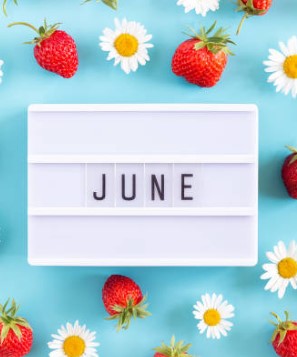 June 2024 Newsletter